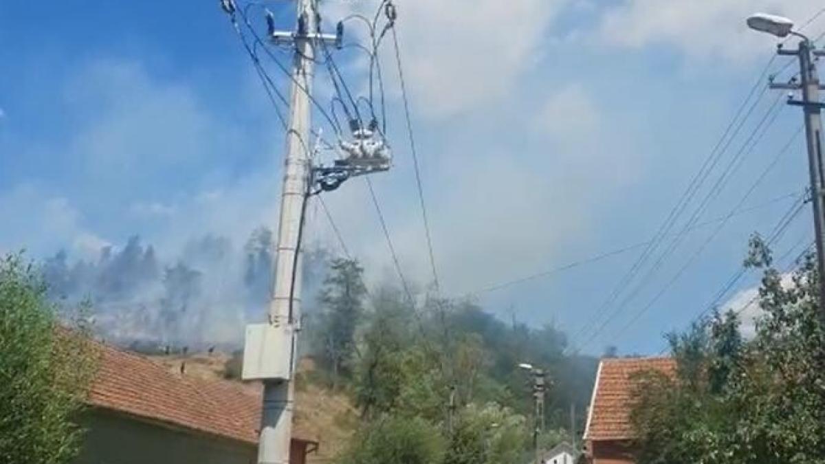 incendiu-de-vegetatie-la-resita_08592300