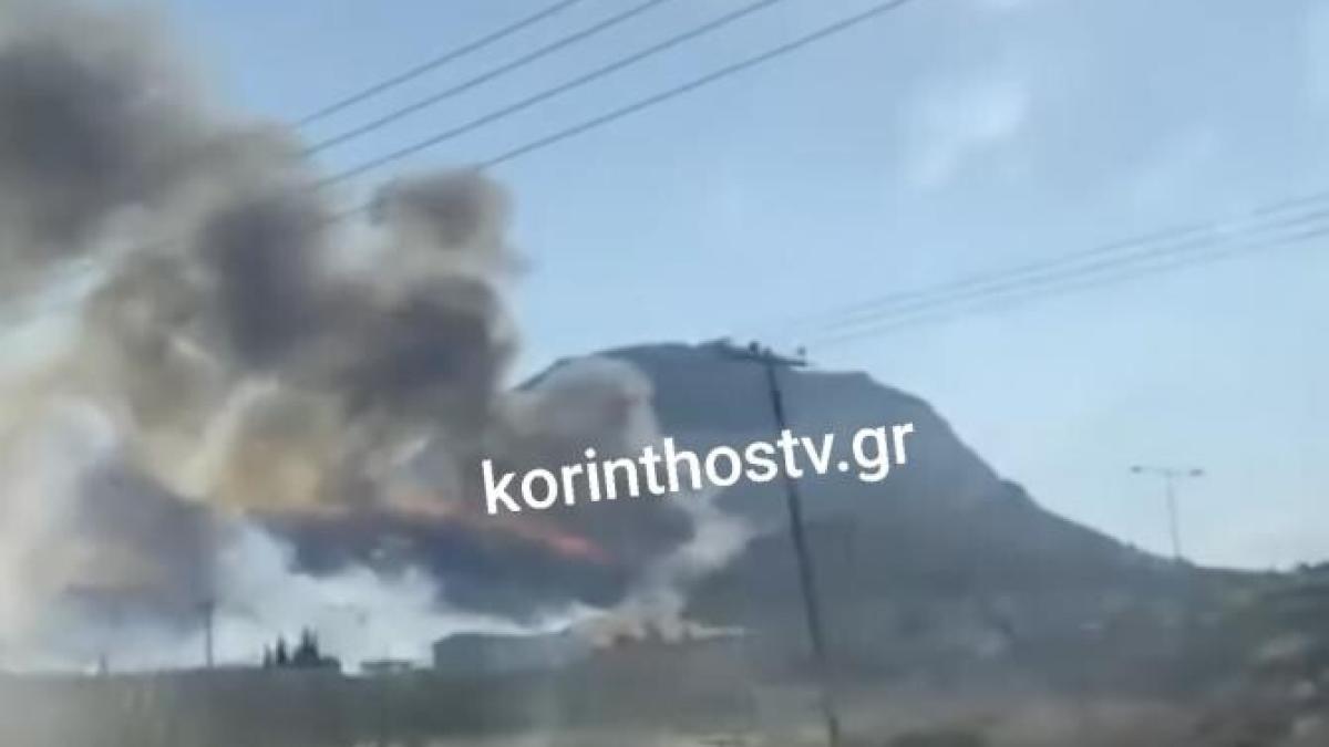 incendiu-grecia-14-august_61108100