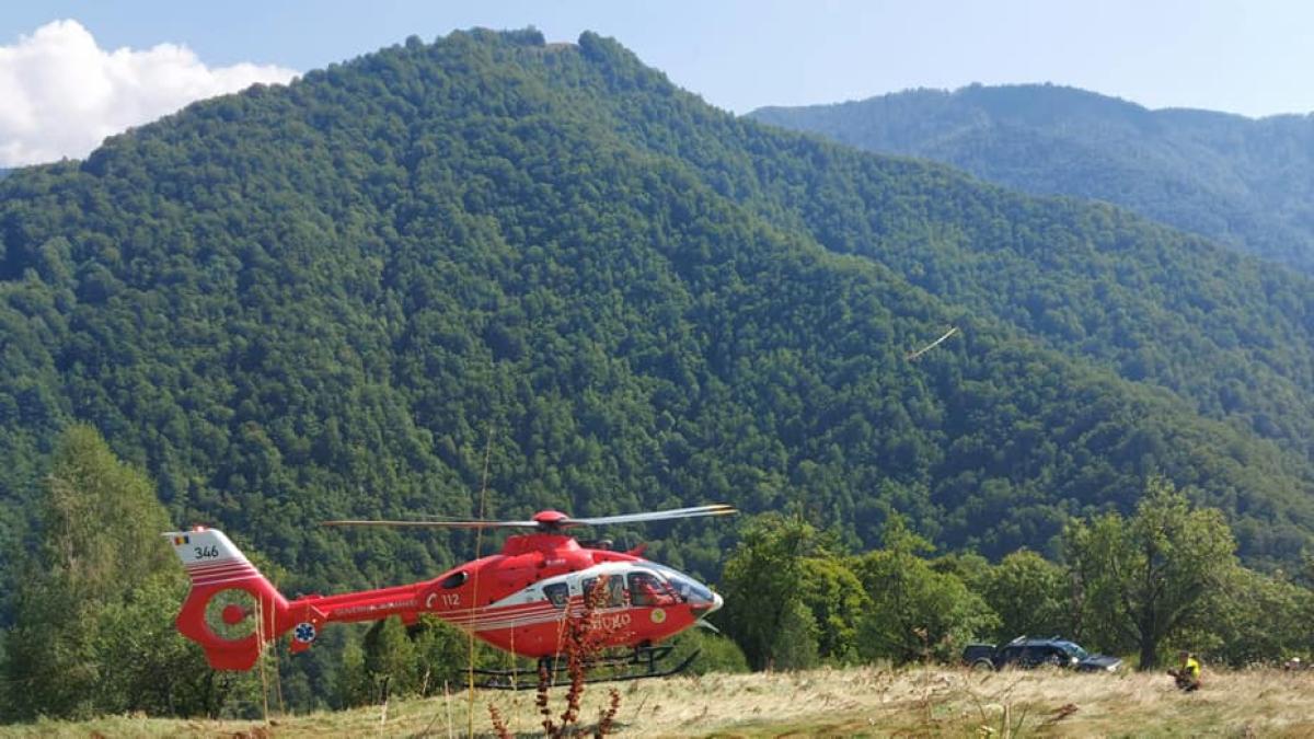 salvamont-valcea--11_52272700