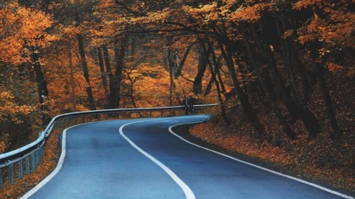 titi-aur--despre-depaprc-ccprc-86sprc-ccprc-a6irile-pe-linia-continuaprc-ccprc-86---romaprc-ccprc-82nul-este-needucat_63336600