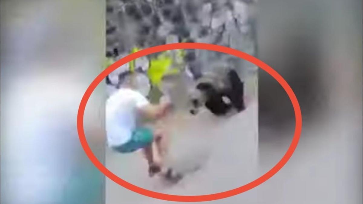 barbat-atacat-de-urs_25078800