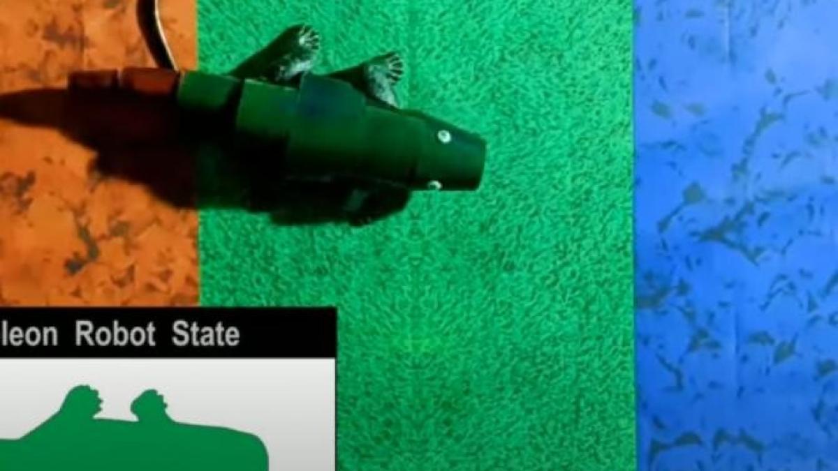 robotul-cameleon-coreea_77404500