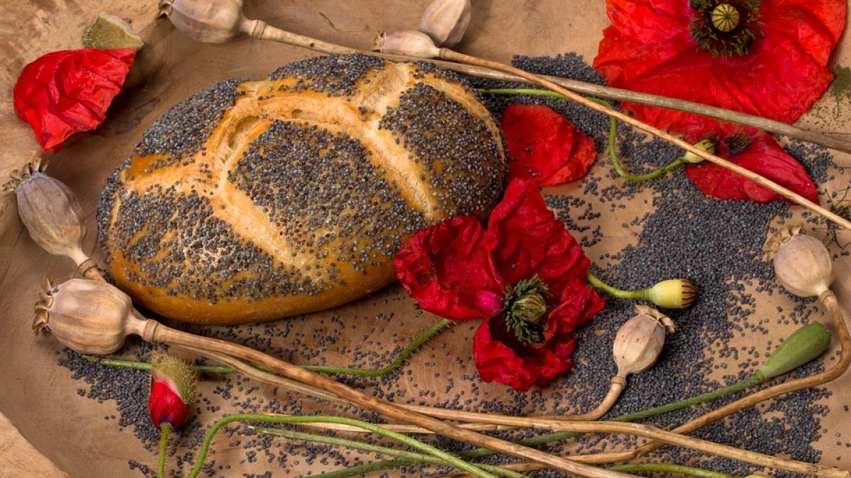 seminte-mac-retrase-de-la-vanzare_45900000