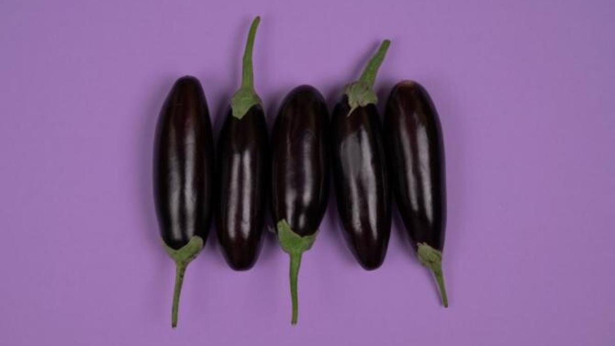 retete_vinete_foto_pexels_35341500