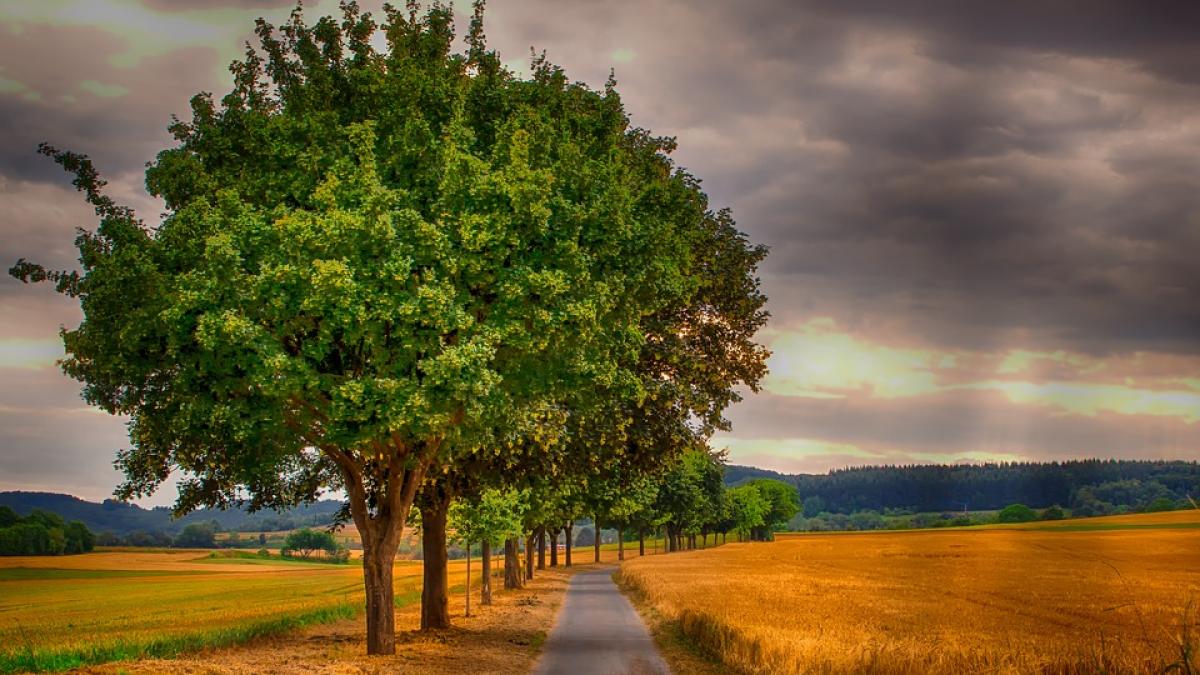 schimbare-vreme_37831400