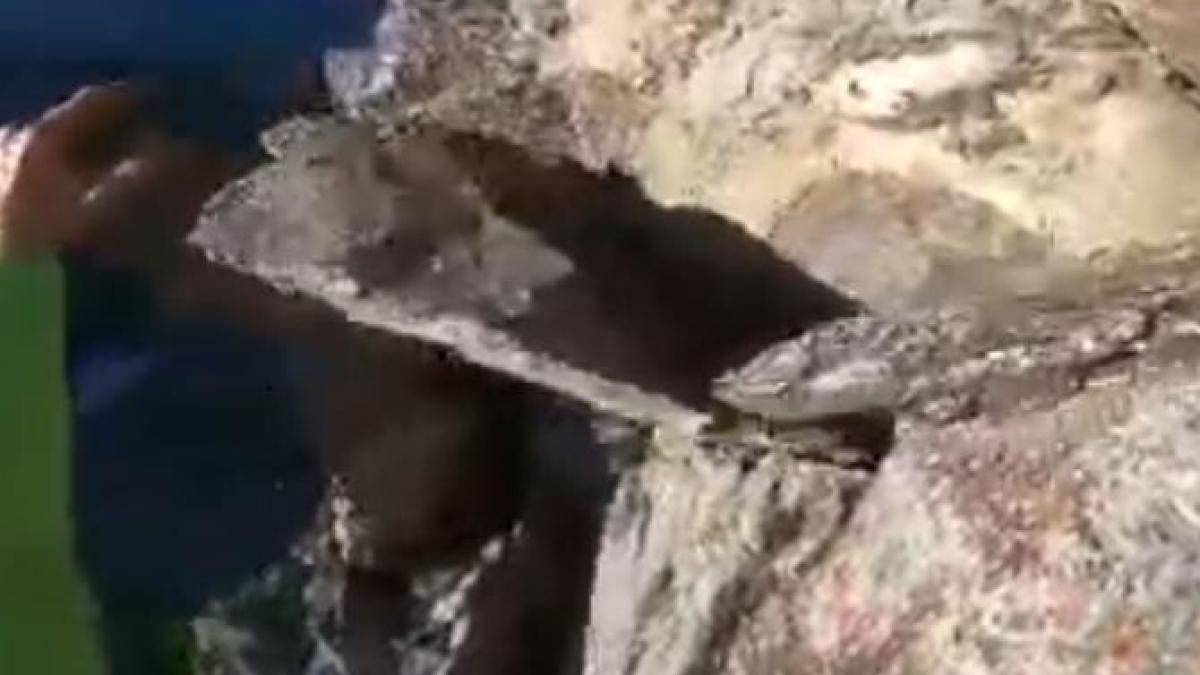 senzatii-tari-in-fagaras-au-escaladat-celebrele-urechi-de-iepure_42938800