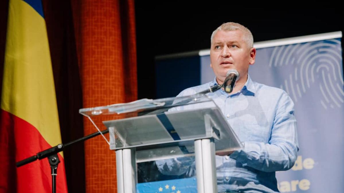 florin-roman-pnl-avere_17916400