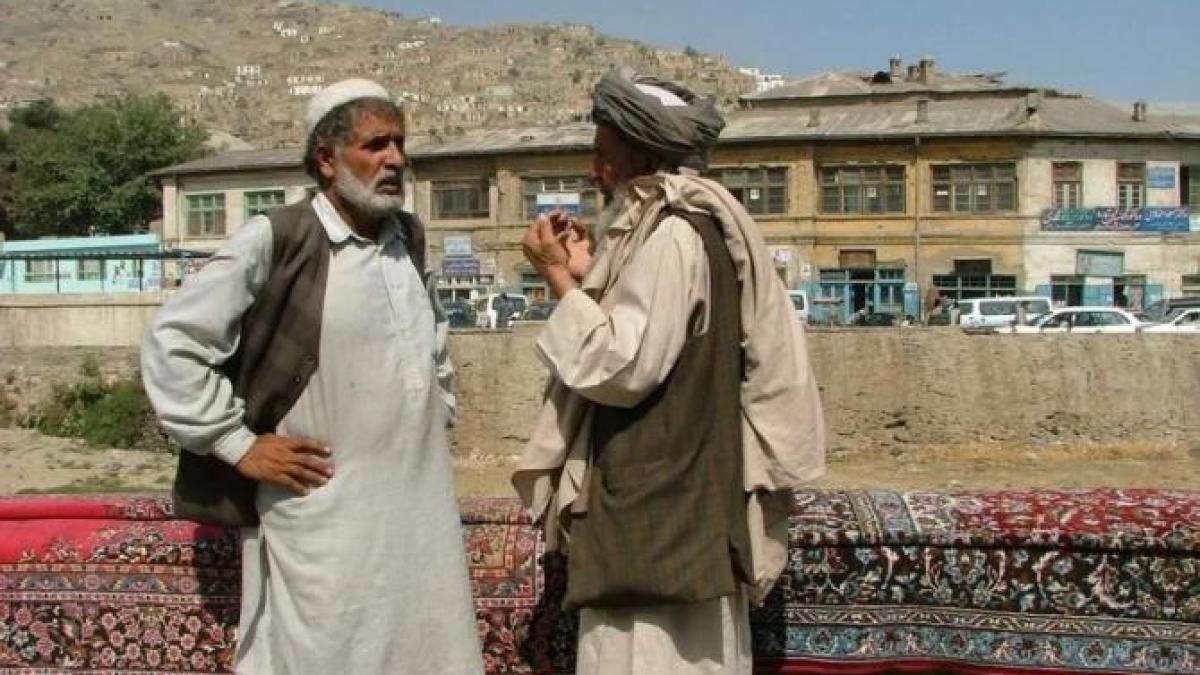 german-impuscat_58053000