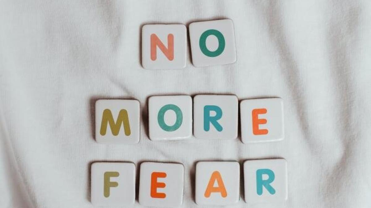 frica_foto_pexels_72283700