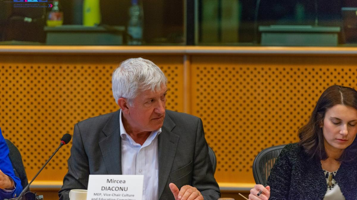 mircea-diaconu-sofer_56364000