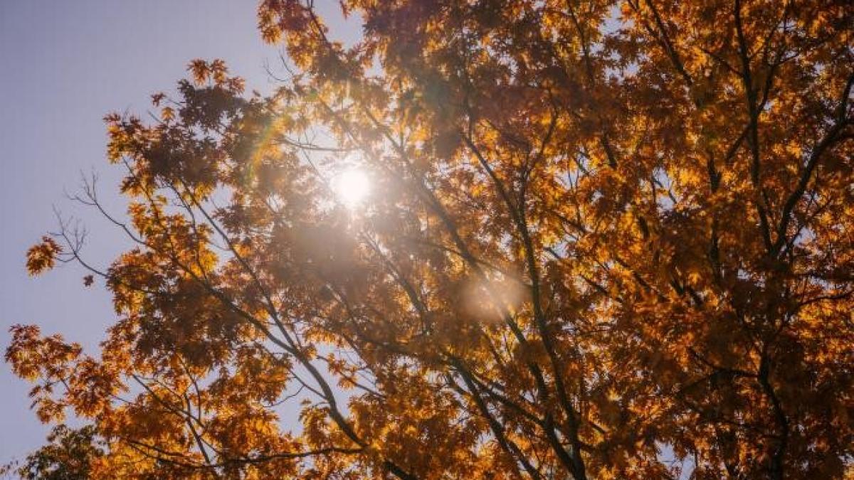 vreme_septembrie_foto_pexels_74791700