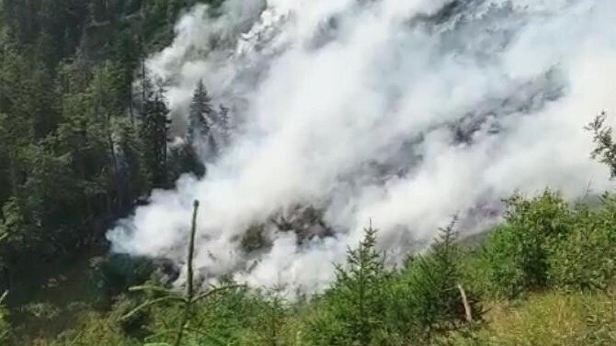 arde-paprc-ccprc-86durea-din-muntprc-ccprc-a6ii-caprc-ccprc-86paprc-ccprc-86tprc-ccprc-a6aprc-ccprc-82nii--patru-hectare-au-fost-deja-afectate-_49916700