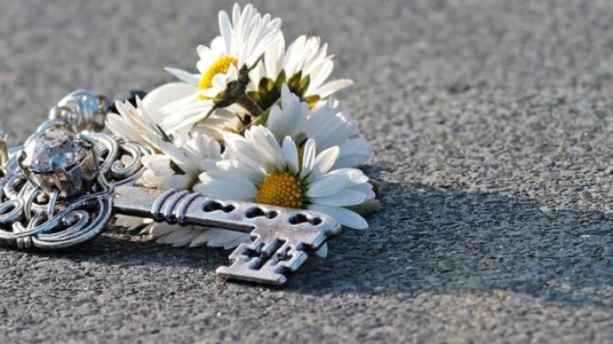 a-fost-creat-asfaltul-cu-parfum-floral-iprc-ccprc-82n-polonia_34621300