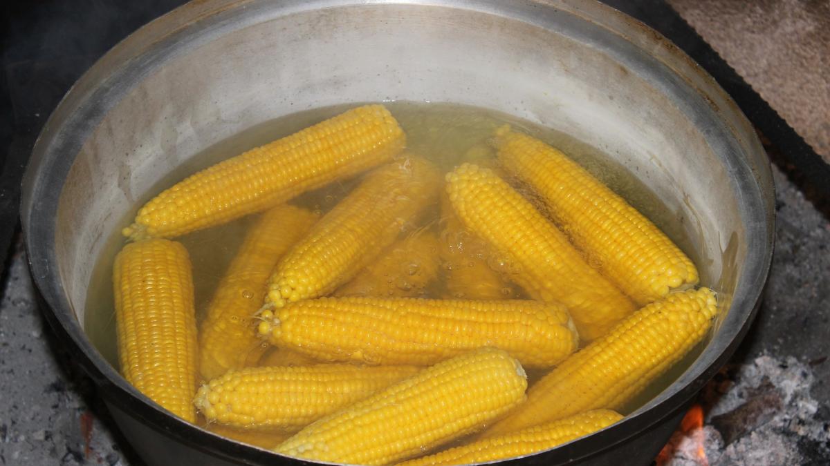 porumb-fiert-cate-calorii-are-atractia-verii_07965800