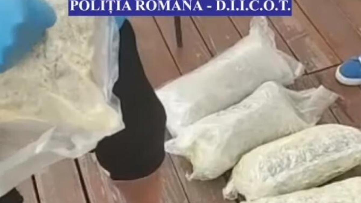 captura-de-droguri_48287200