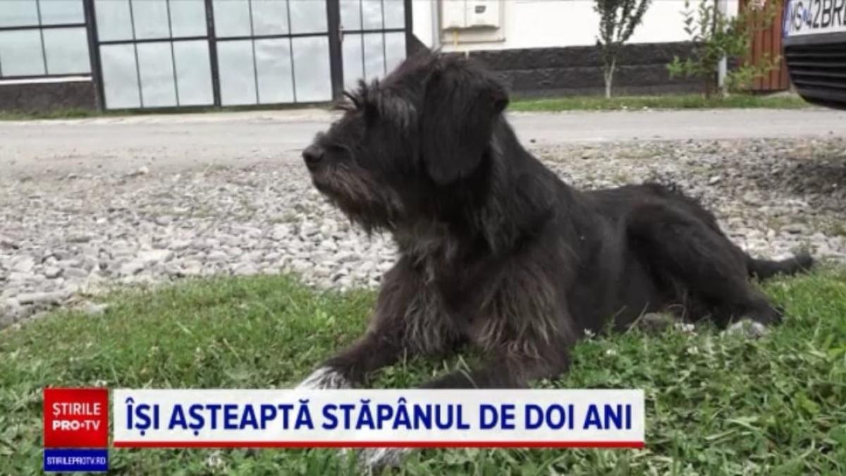 obama--caine-mures-stapan_33544200