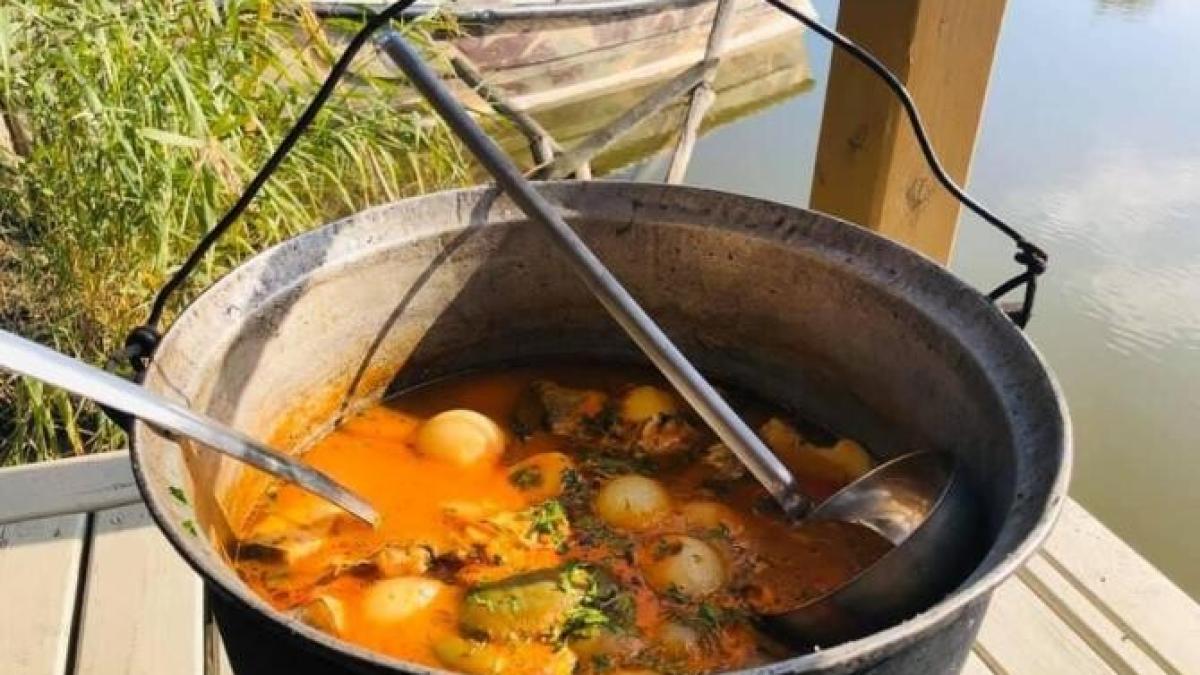 traditprc-ccprc-a6ii-iprc-ccprc-82n-delta-dunaprc-ccprc-86rii--mii-de-oameni--asprc-ccprc-a6teptatprc-ccprc-a6i-la-saprc-ccprc-86rbaprc-ccprc-86toarea-borsprc-ccprc-a6ului-de-pesprc-ccprc-a6te_99769800