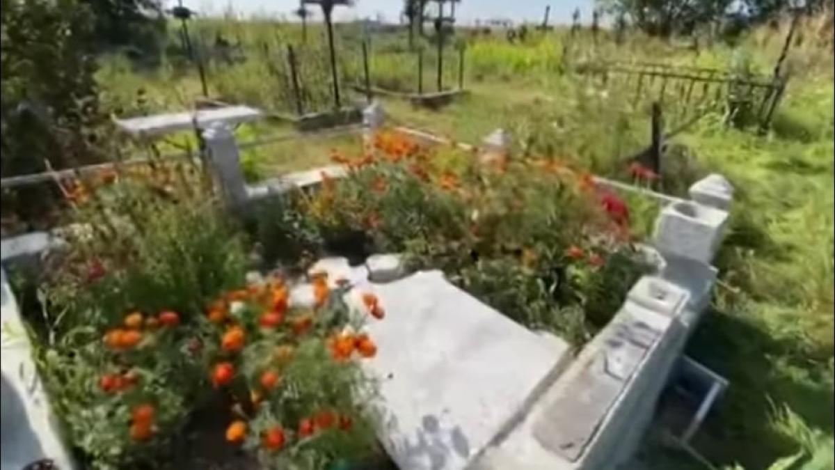 cimitir-botosani-distrus_34378900