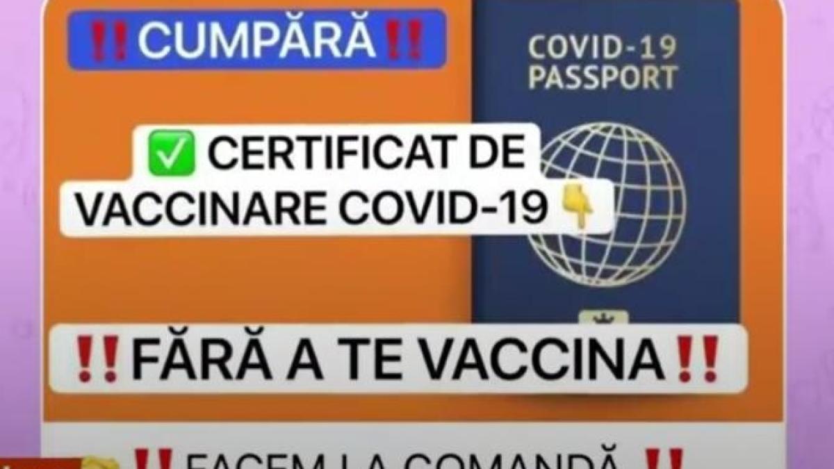 certificate-de-vaccinare-false--vandute-la-100-de-euro-pe-telegram--un-jurnalist-a-reusit-sa-l-obtina-e-11--creat-chiar-de-medici_34739000