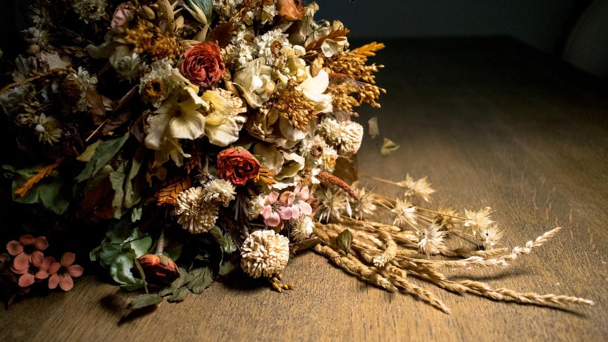 flori_uscate_26803900