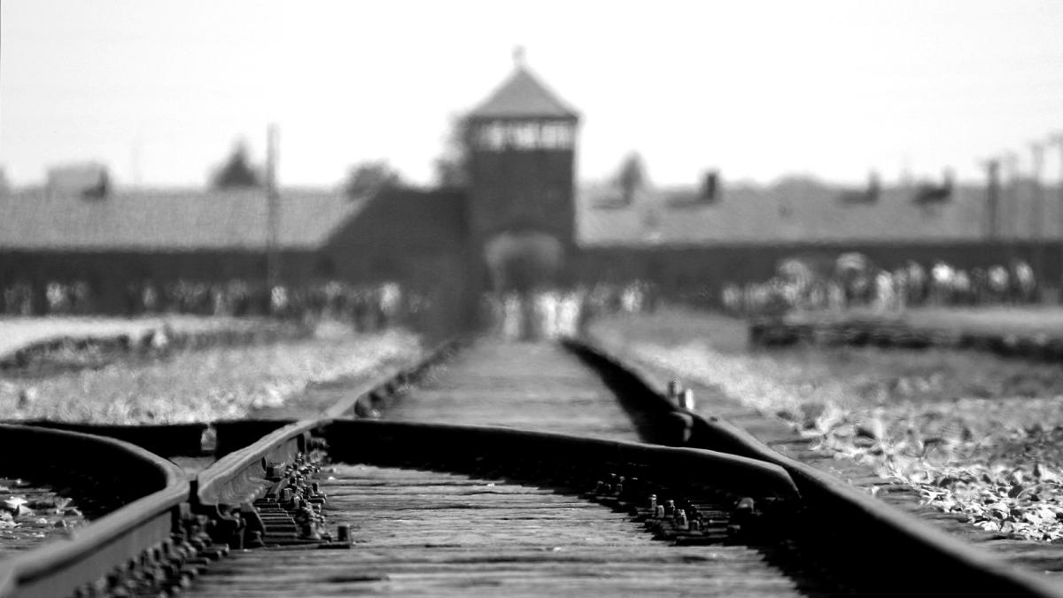 supravietuitoare_holocaust_batrana_sua_pxb_08153200