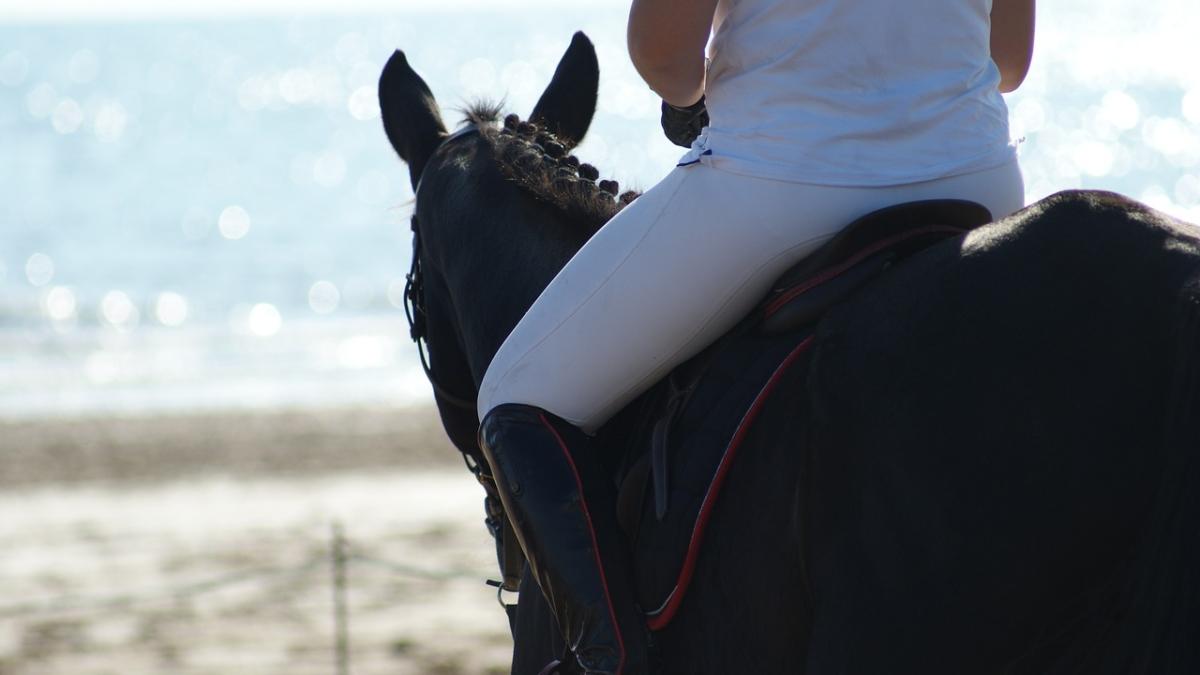 cal_plaja_pxb_16908800