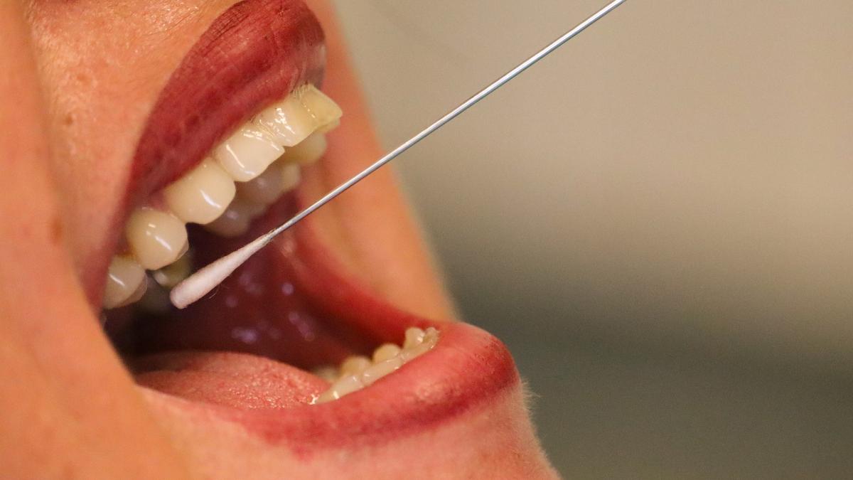 teste_pcr_gratis_luxemburg_pxb_46365100