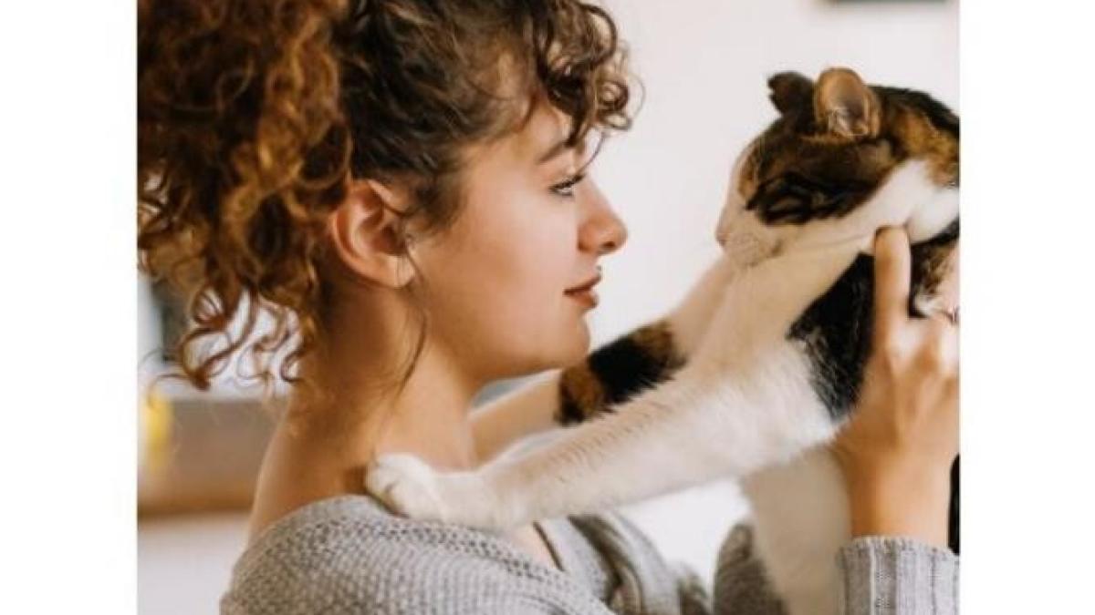 zodii_foto_pexels_99286900