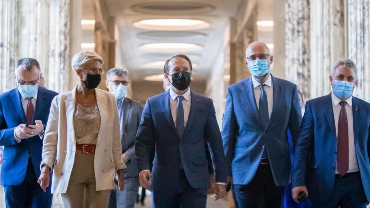 florin-citu-motiune_91537200