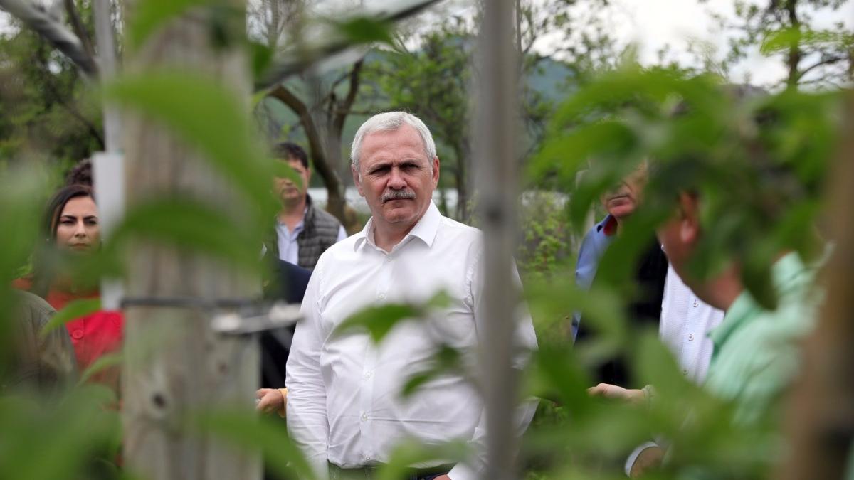 nasui-nici-macar-dragnea-nu-a-indraznit-sa-impiedice-supunerea-la-vot-a-unei-motiuni-de-cenzura_31081800