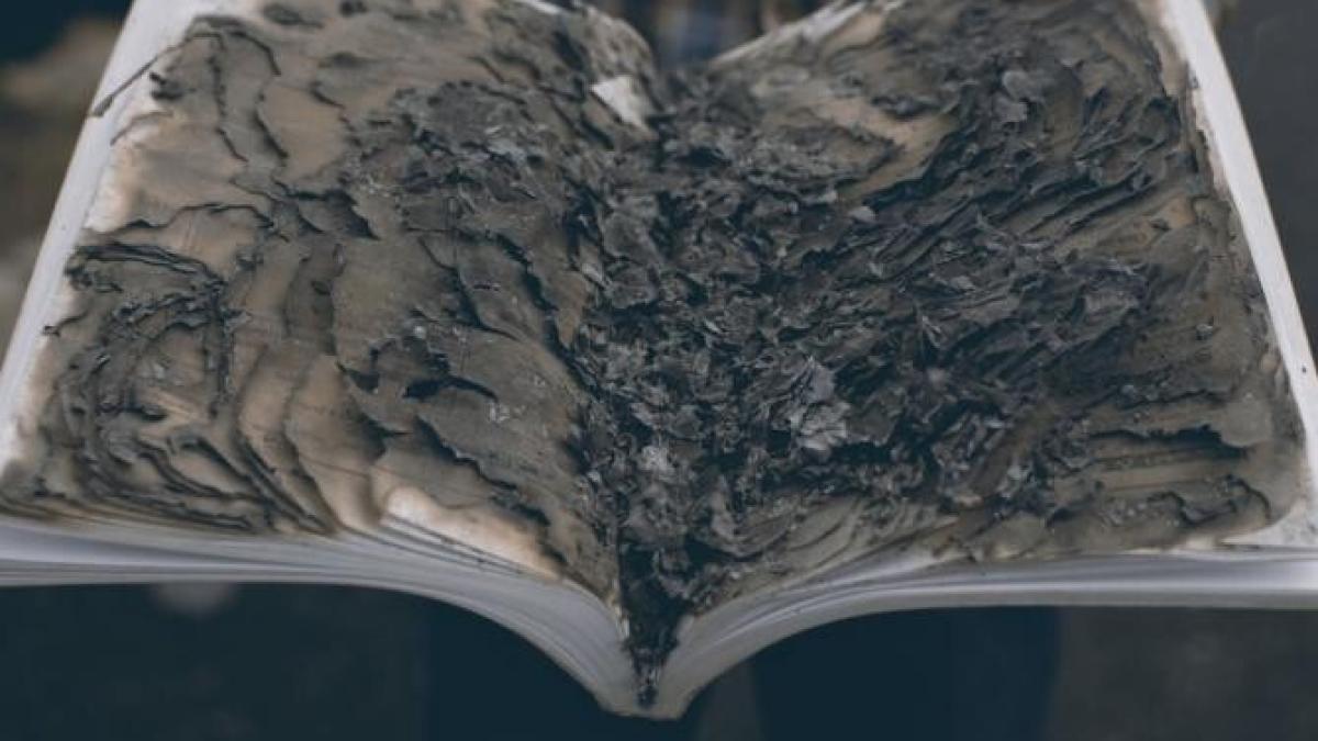 mii-de-caprc-ccprc-86rtprc-ccprc-a6i--printre-care-tintin-sprc-ccprc-a7i-asteprc-ccprc-81rix--considerate-discriminatoare_45269700