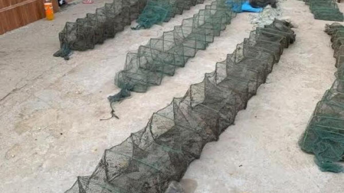 perchezitii_linia_piscicola4_75636600