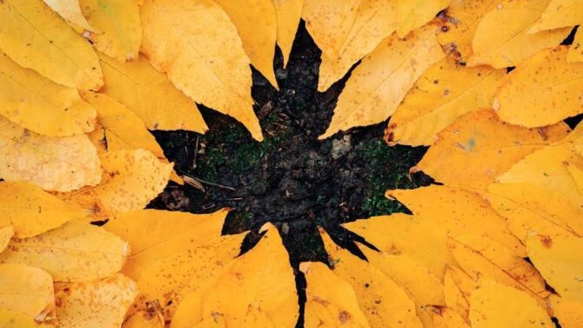 toamna_vreme_anm_foto_pexels_63242300