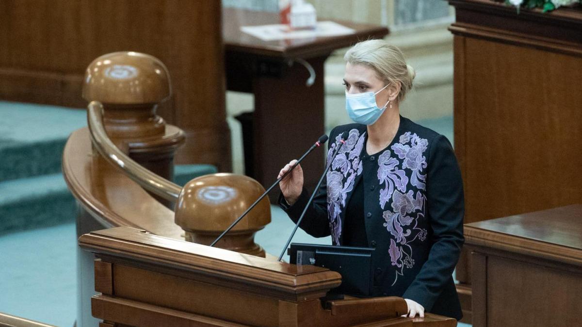 alina_gorghiu_73035100