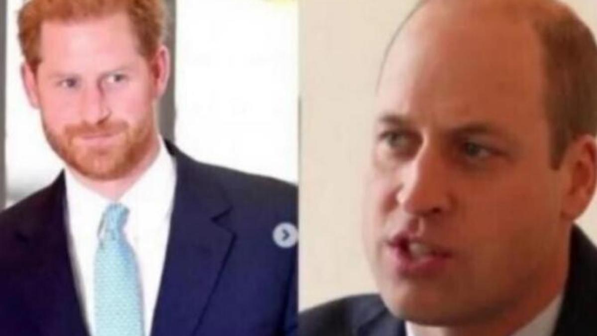 printul-william-l-a-jignit-pe-harry--scandal-puternic--camilla-e-furioasa-i-a-distrus--nu-i-va-ierta-niciodata_64528500