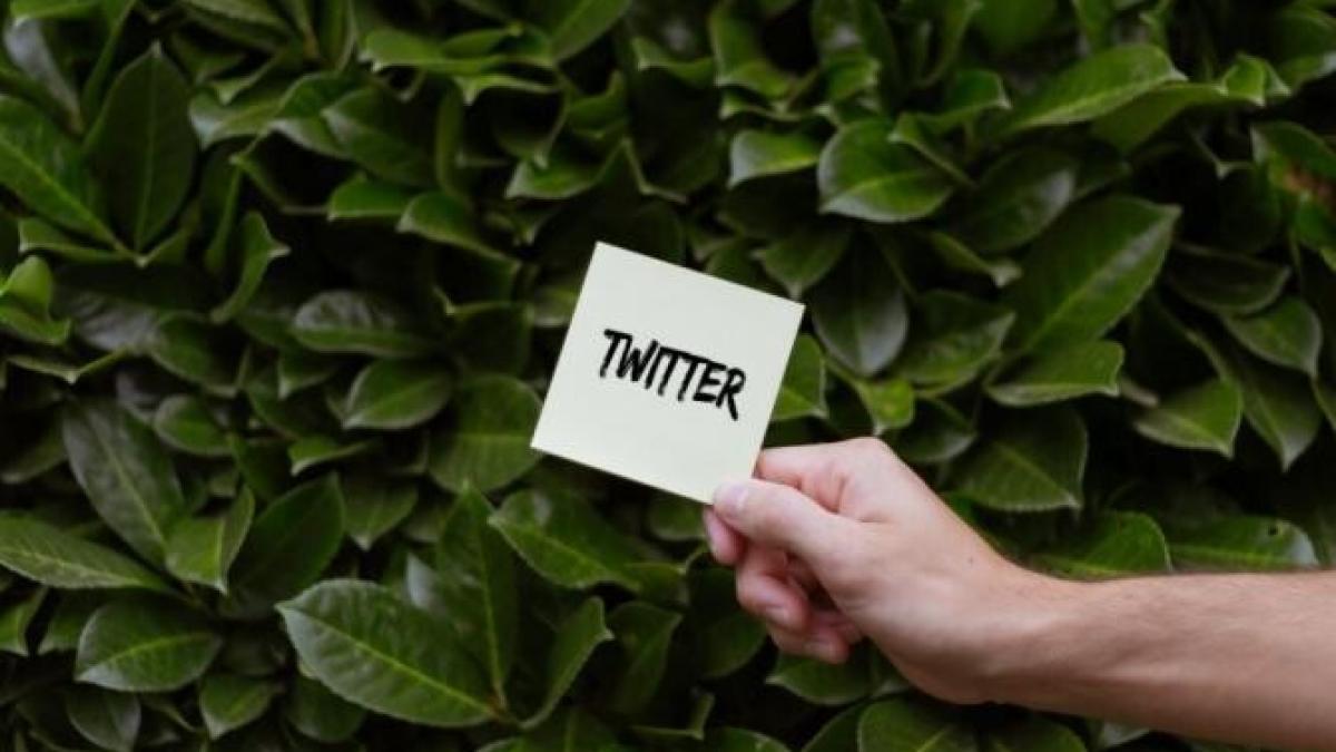 mesaj_controversat_twitter_despre_emma_raducanu_foto_pexels_12183300