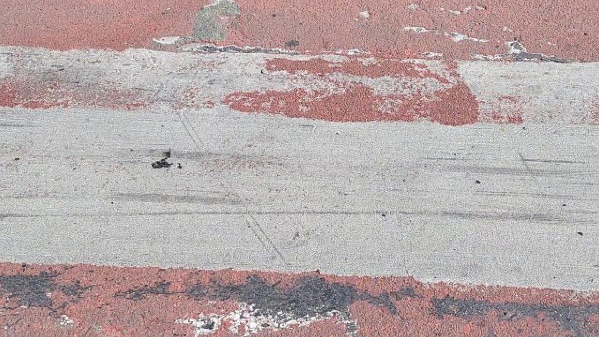 bucurestiul--ca-dupa-bombardament--pe-aceasta-trecere-de-pietoni-din-bucuresti-s-au-dus-azi-la-scoala-copii--parinti--bunici_11146300