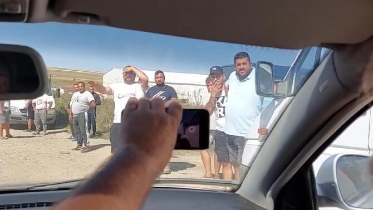 autospeciala-de-politie-lovita-de-samsarii-de-pasari_34732800