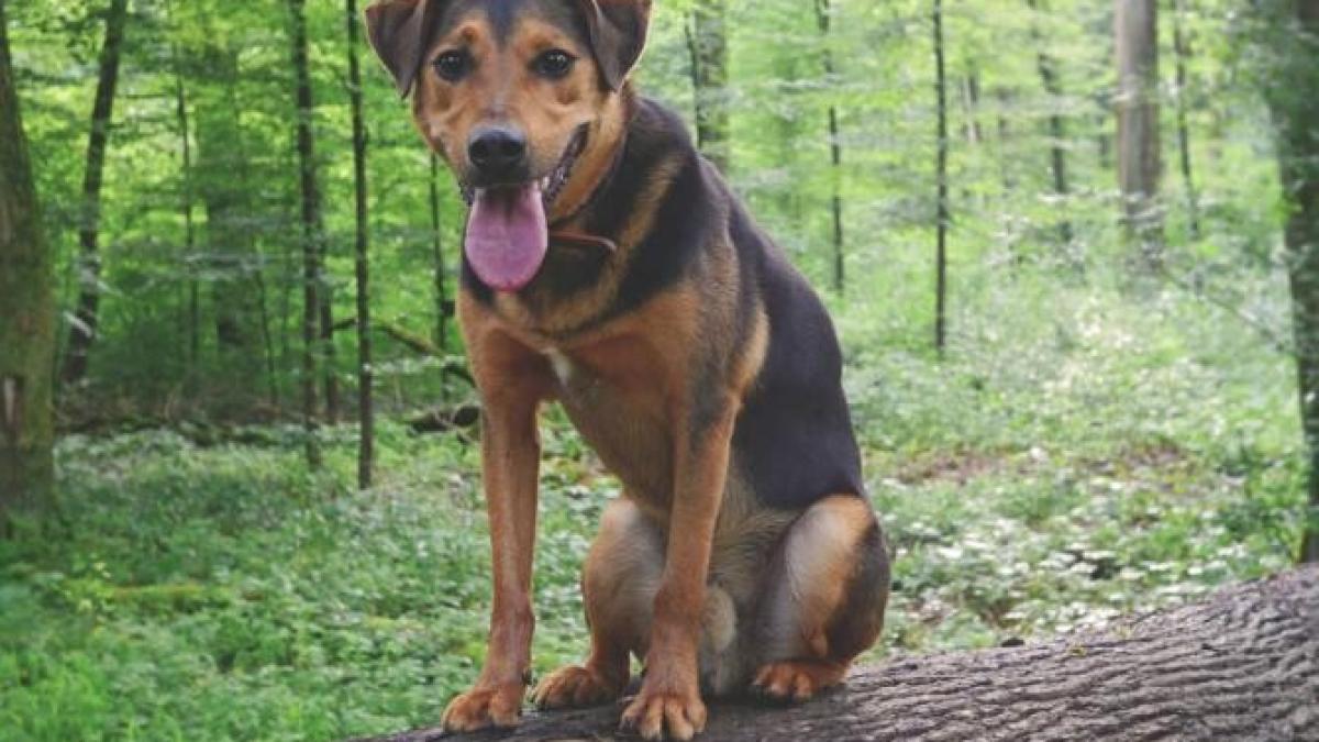 baprc-ccprc-86traprc-ccprc-82naprc-ccprc-86-din-harghita--dispaprc-ccprc-86rutaprc-ccprc-86-de-acasaprc-ccprc-86--iprc-ccprc-82ngrijitaprc-ccprc-86-sprc-ccprc-a6i-salvataprc-ccprc-86_69219300