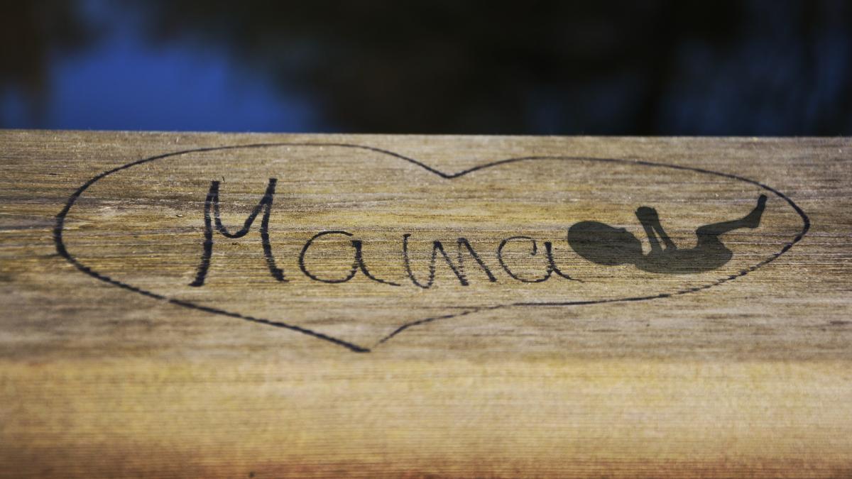 femeile-din-romania--avort-acasa-din-cauza-refuzului-medicilor--in-ciuda-deciziei-onu--centrul-filia--solicitare-ferma-catre-ministerul-sanatatii_65992900