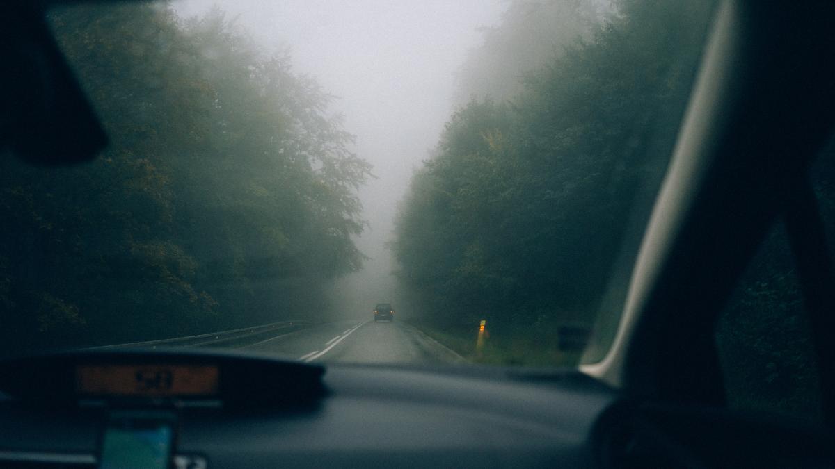 ceata_anm_cod_galben_pexels_59518700