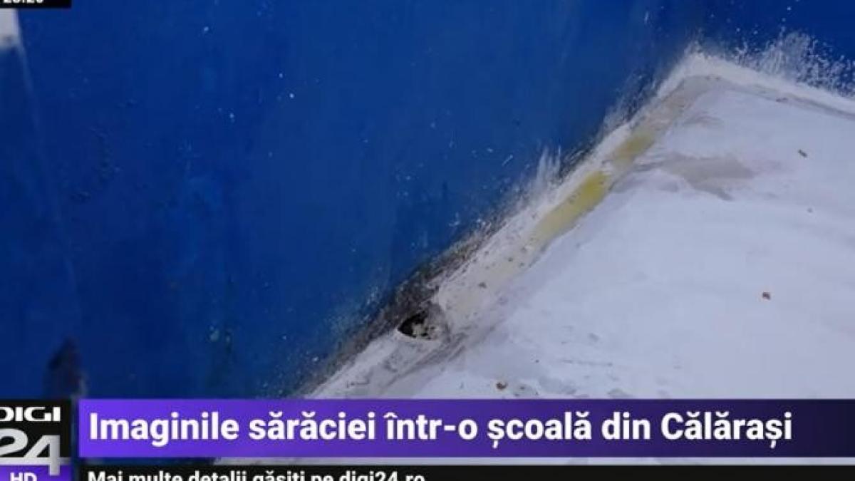 toaleta_scoala_calarasi_cpv_33920600