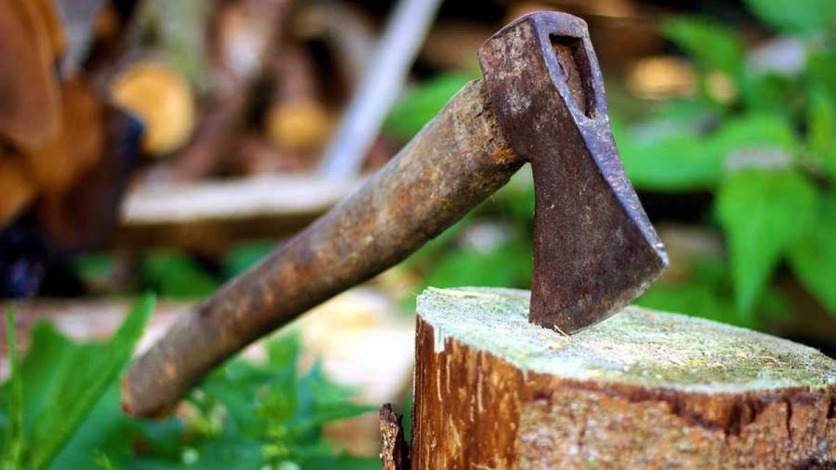 primar-din-vaslui--derapaj-va-vom-astepta-la-fel-cum-ii-astepta-stefan-cel-mare-pe-turci----cu-furcile--coasele-si-securile_86034100