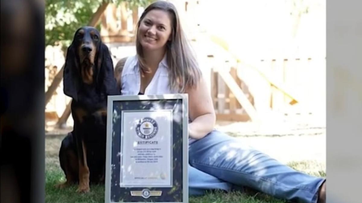 caine-urechi-lungi-sua_53115300