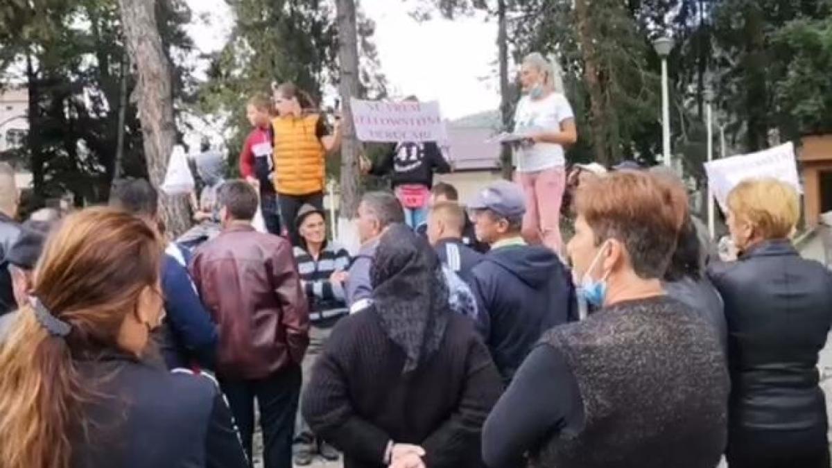 protest-la-rucar-ursi_09489400