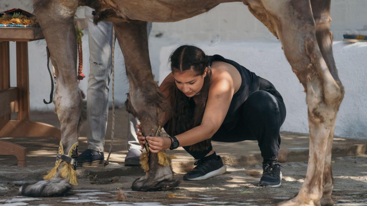 general-stage-2---asia-express-s4-6_12394000