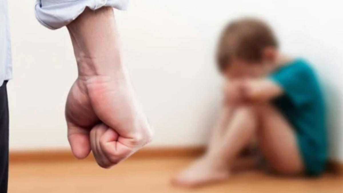 agresiune-copii_29951700