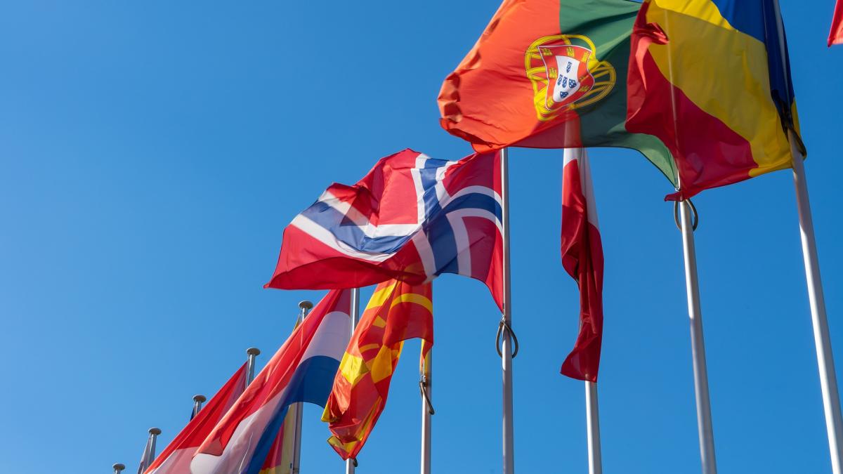 dan-dungaciu-asta-este-problema-romaniei--nu-intereseaza-pe-nimeni-ca-are-apa-in-galosi--nu-este-este-treaba-bruxelles-ului_62562200