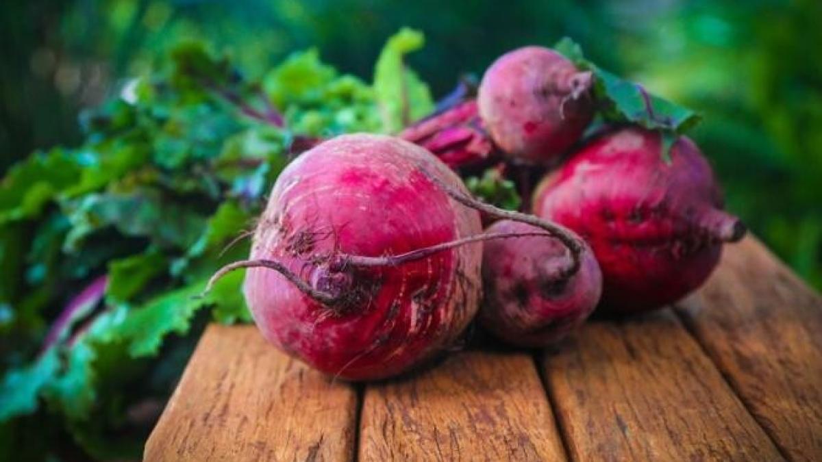 reteta_sfecla_rosie_foto_pixabay_03223300