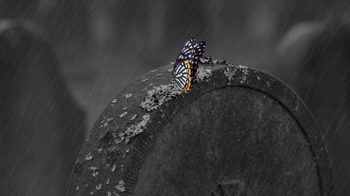 piatra_funerara_pxb_71725100